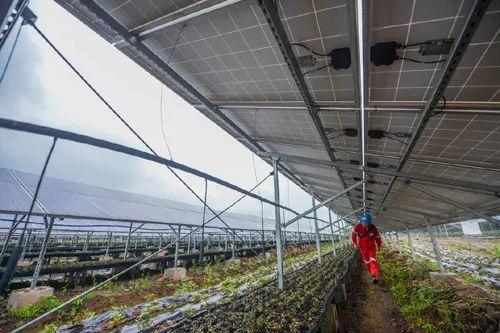 中國(guó)十三省最大光伏電站在這里！欽州康熙嶺的光伏電站能排上號(hào)了嗎？